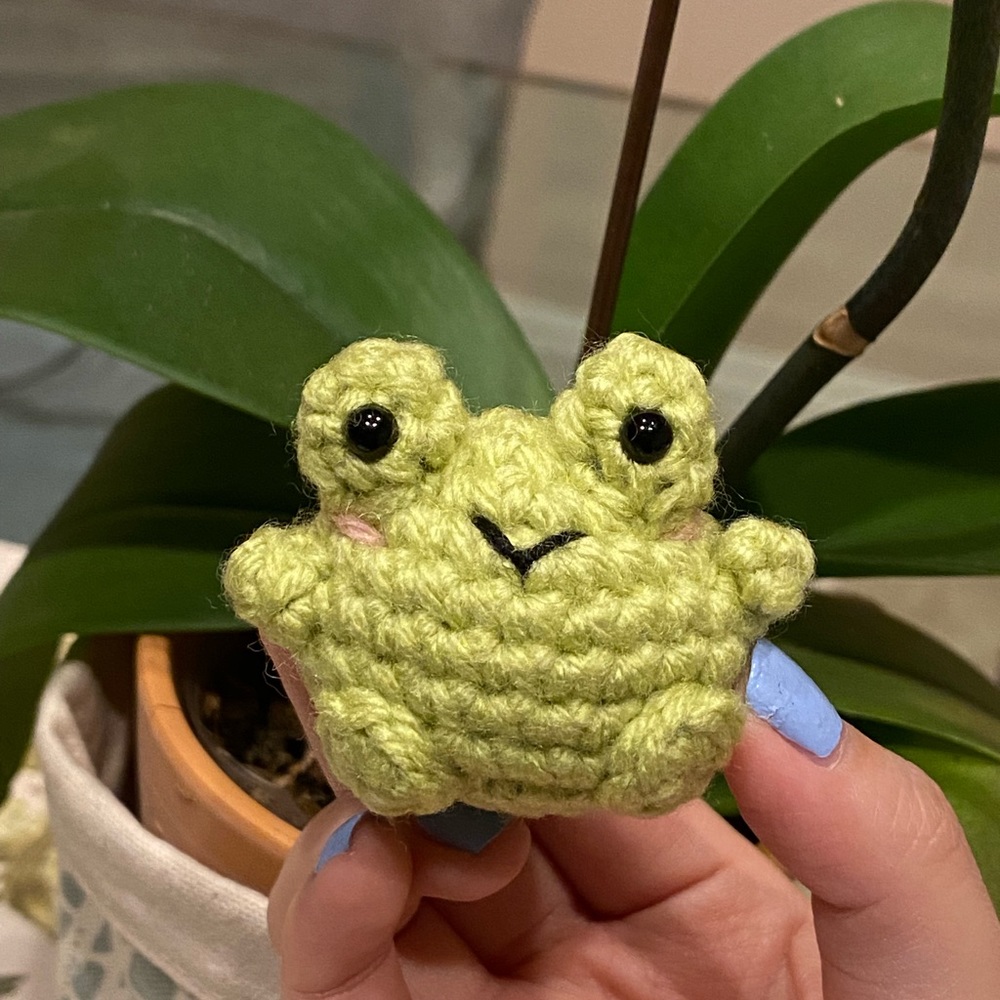❌SOLD❌ Tiny Crochet Frog Stuffed Animal / Desk Buddy